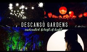 ENCHANTED: FOREST OF LIGHT - DESCANSO GARDENS | TIFFYAMA