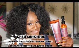 Best Blowout EVER |Shea Moisture Professional Thermal Protection Demo/Review | Shlinda1