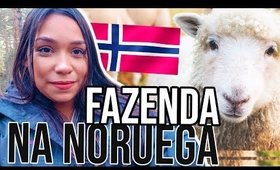 COMO É UMA FAZENDA NA NORUEGA | Vida na Noruega 🇳🇴