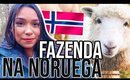 COMO É UMA FAZENDA NA NORUEGA | Vida na Noruega 🇳🇴
