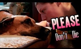 PLEASE DON'T DIE?! | Vlog