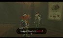 Girl does side quests, find shrines, and battle Lynels in Breath of the WIld Part 67?
