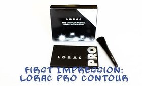 Review: Lorac Pro Contour Palette + Brush