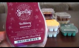 Major Scentsy Haul | vlogwithkendra