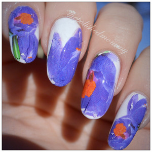  #nailartjan #nature http://www.thepolishedmommy.com/2014/01/purple-gladiolus.html

#kkcenterhk #orly #presssample #review