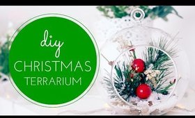 DIY Christmas Terrarium | DIY Christmas Decoration | Wengie | Lifestyle Point