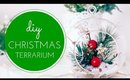 DIY Christmas Terrarium | DIY Christmas Decoration | Wengie | Lifestyle Point