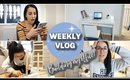 WEEKLY VLOG #6| BUILDING MY OFFICE 🔨 B&M HAUL 😍 ‘HATER’ COMMENTS 🤦🏻‍♀️