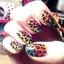 leopard :3