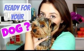 ARE YOU READY FOR YOUR DOG? ADOPTING/BUYING A PUPPY