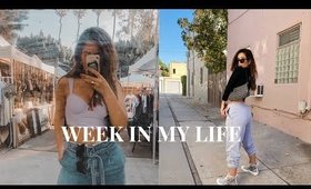 WEEK IN MY LIFE: LA! GIRLS TRIP, HOLIDAY EVENTS, + CONTENT!
