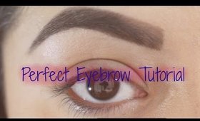 Basic Mondays: Eyebrow Tutorial!