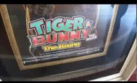 Tiger & Bunny -The Rising- Sacramento Screening Short Vlog