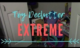 Extreme Toy Declutter