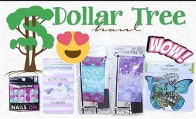 Dollar Tree Haul #12 & 13 | HUGE DOUBLE HAUL! | PrettyThingsRock