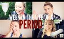 SAVING A DOG & AN IMPORTANT CHAT! | WEEK IN THE LIFE OF A PERIOD #14