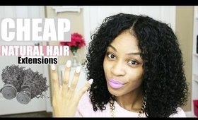 4 Cheap Natural Hair Extensions