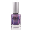 Color Club Professional Nail Lacquer Eternal Beauty