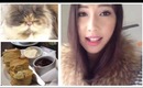My kitten loves MissGlamorazzi / Afternoon Tea / YouTuber Impressions!