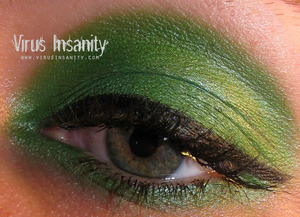 Virus Insanity eyeshadow, Zombie.

www.virusinsanity.com