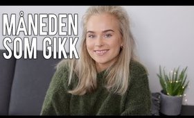 MÅNEDEN SOM GIKK - FEBRUAR 2019