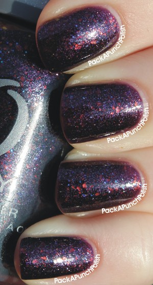 A gorgeous purple plum based polish with silver and blue micro glitter and orange flakies that occasionally shine a hint of green. GORGEOUS for fall!

Full blog post here!:
http://packapunchpolish.blogspot.com/2012/10/orly-fowl-play.html