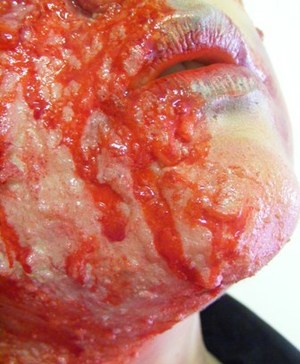 Injury Simulation Makeup
Titled: hit & run
2011 
