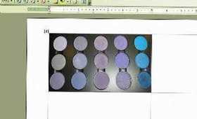MSWORD for Palette Labeling