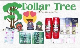 Dollar Tree Haul #1 | 1st Haul Of The Year! | PrettyThingsRock