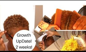 DIY Ginger Hair Mask For Extreme Hair Growth! Promote hair growth!