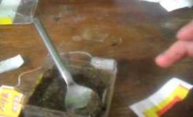 Herbal Tea facial! (?)