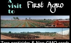 A visit to "First Agro" - by BangaloreBengaluru