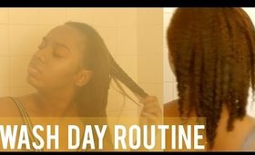 4a-c Natural Hair Wash Day Routine ft. Aphogee Products