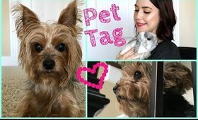 Meet My Fur Babies | {Pet Tag Questions}