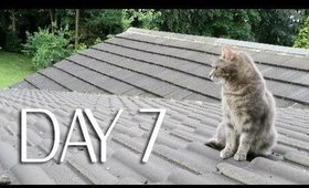 KITTY ROOFTOP ADVENTURE | TheRaviOsahn VLOG