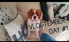 VLOGTEMBER DAY #1 - Keeping it :100: