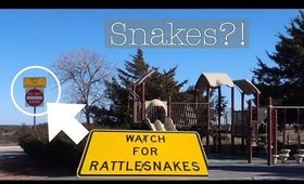 RATTLESNAKES ON OUR WAY TO NEW MEXICO | VLOG