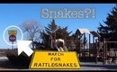 RATTLESNAKES ON OUR WAY TO NEW MEXICO | VLOG