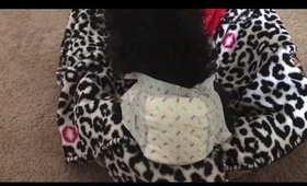 The truth about disposable diapers for puppies!