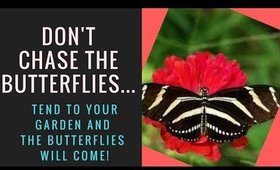 Don't Chase The Butterflies...Tend To Your Garden!