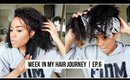 Week In My Hair Journey Ep. 6 | My First Pineapple!