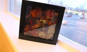 How to Preserve Dried Flowers Forever in A Shadow Box