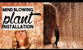 Mind Blowing Plant Installation | WEEKLY VLOG