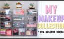 My Makeup Collection! + How I Organize Them All!