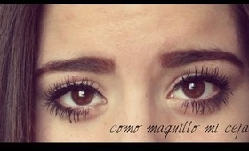 Como maquillo mi ceja | How i fill my eyebrows