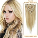 Clip In Remy Human hair