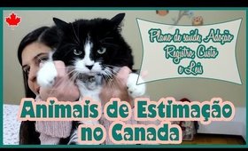 ANIMAIS DE ESTIMAÇÃO no CANADÁ | Custos, Transporte, Adoção e Aluguel