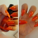 Orange claws (natural real length)