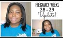 Pregnancy Week 28&29 update! | Jessica Chanell