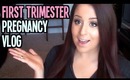 First Trimester Pregnancy Vlog ♥ Weeks 1-12